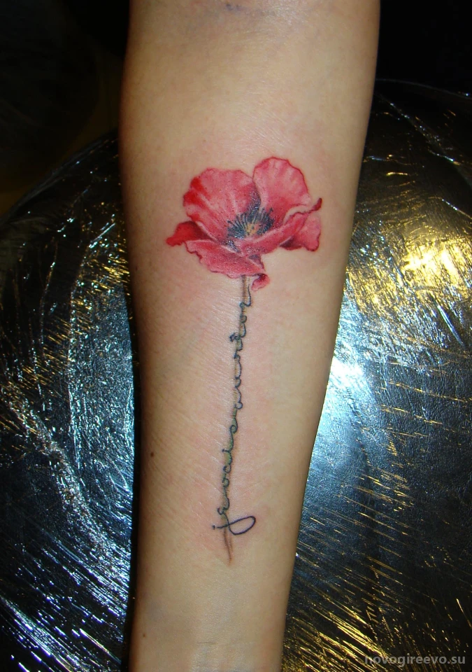 Тату-студия Павла Птах Pro tattoo Изображение 17