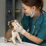 Ветеринарный центр Любимчик на Свободном проспекте Изображение 2